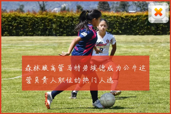 森林狼高管马特劳埃德成为公牛运营负责人职位的热门人选