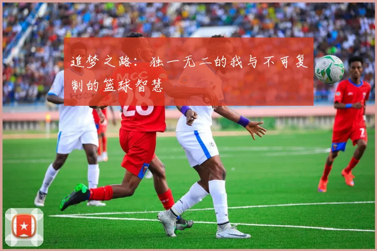 追梦之路：独一无二的我与不可复制的篮球智慧
