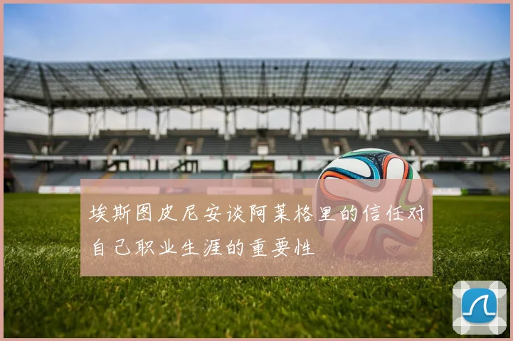 埃斯图皮尼安谈阿莱格里的信任对自己职业生涯的重要性